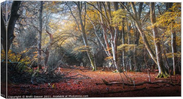 New Forest Autumn Canvas Print by Brett Gasser