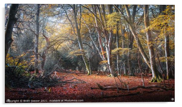 New Forest Autumn Acrylic by Brett Gasser