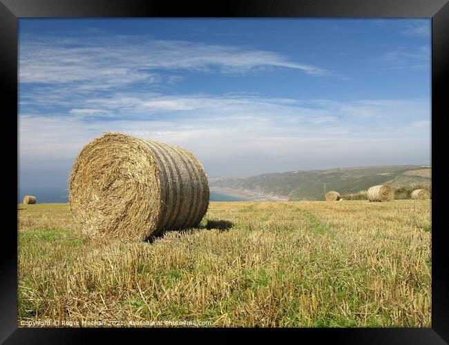 Golden Stubble and Hay Bales Framed Print by Roger Mechan