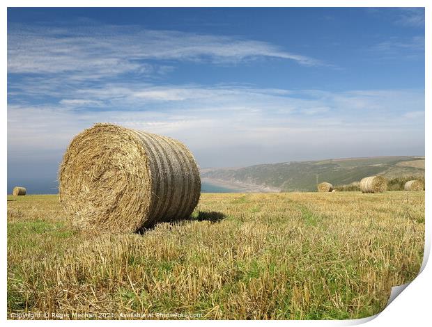 Golden Stubble and Hay Bales Print by Roger Mechan