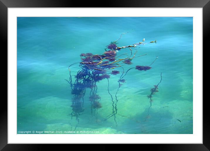 Serenity of Seaweed Framed Mounted Print by Roger Mechan