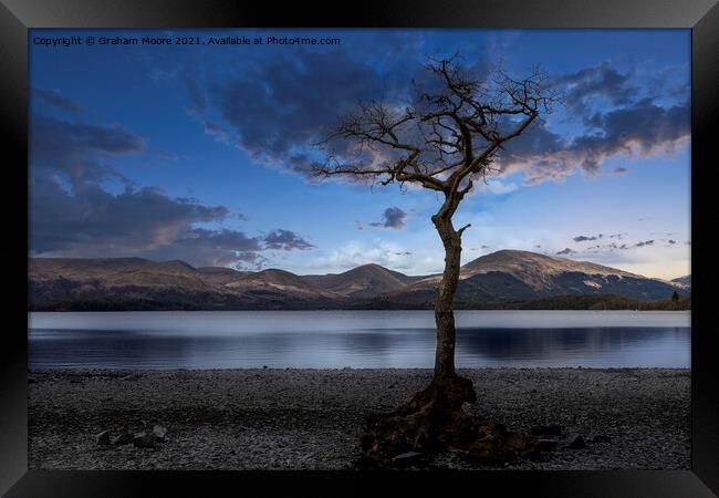 Milarrochy Bay blue hour Framed Print by Graham Moore