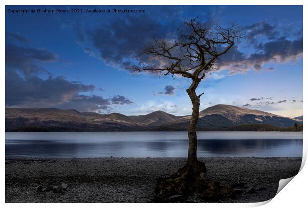 Milarrochy Bay blue hour Print by Graham Moore