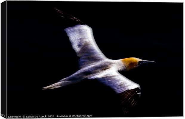Gannet Abstract  Canvas Print by Steve de Roeck