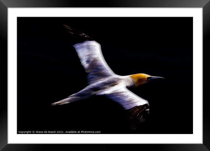 Gannet Abstract  Framed Mounted Print by Steve de Roeck