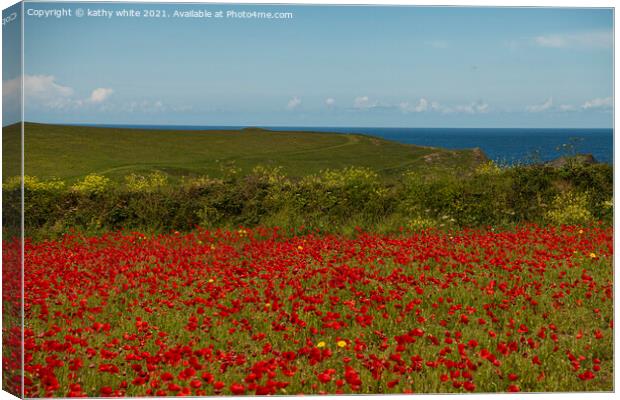 A field of red poppies with the ocean Canvas Print by kathy white