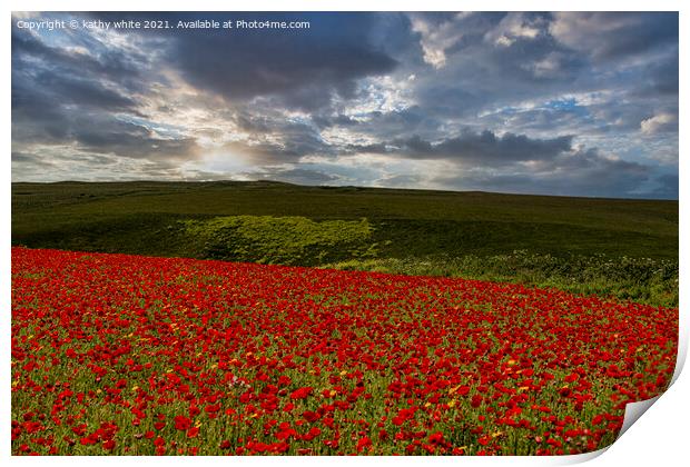 A field of red poppies Print by kathy white