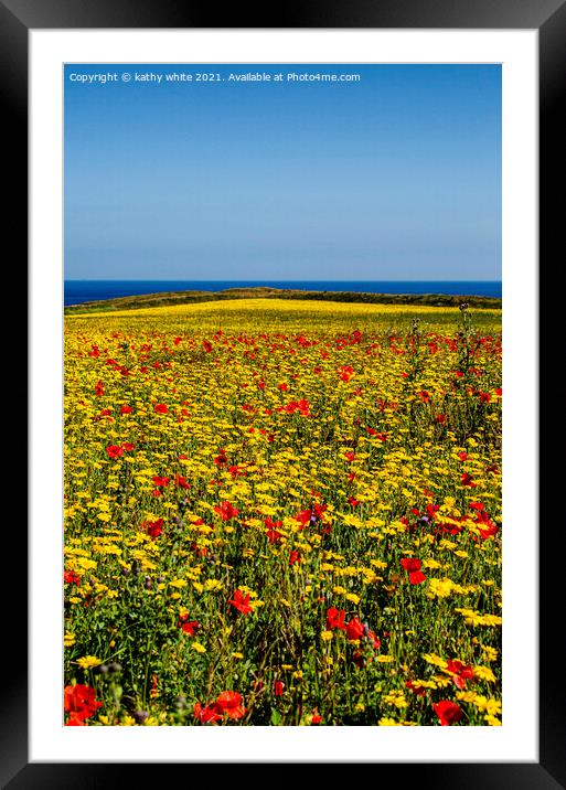 A host of poppies and marigolds Framed Mounted Print by kathy white