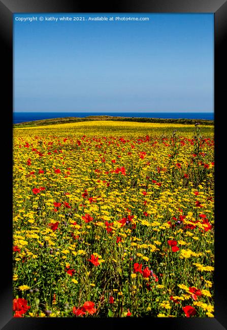 A host of poppies and marigolds Framed Print by kathy white