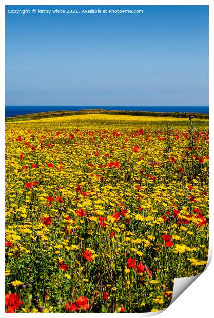 A host of poppies and marigolds Print by kathy white