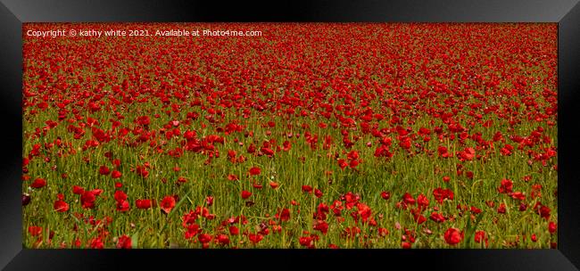 Just red Poppies Framed Print by kathy white