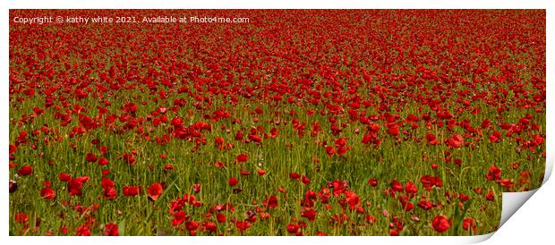 Just red Poppies Print by kathy white