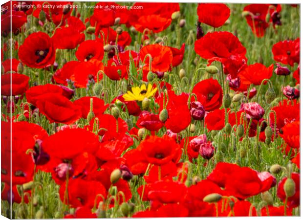 large red poppies Canvas Print by kathy white