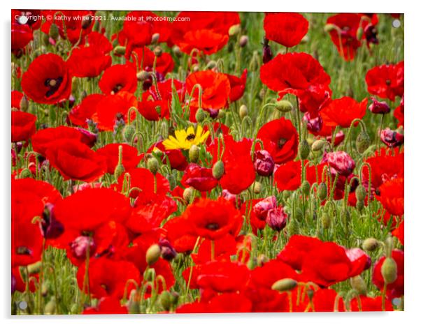 large red poppies Acrylic by kathy white