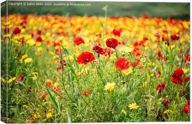 Poppies and Corn Marigolds Canvas Print by kathy white