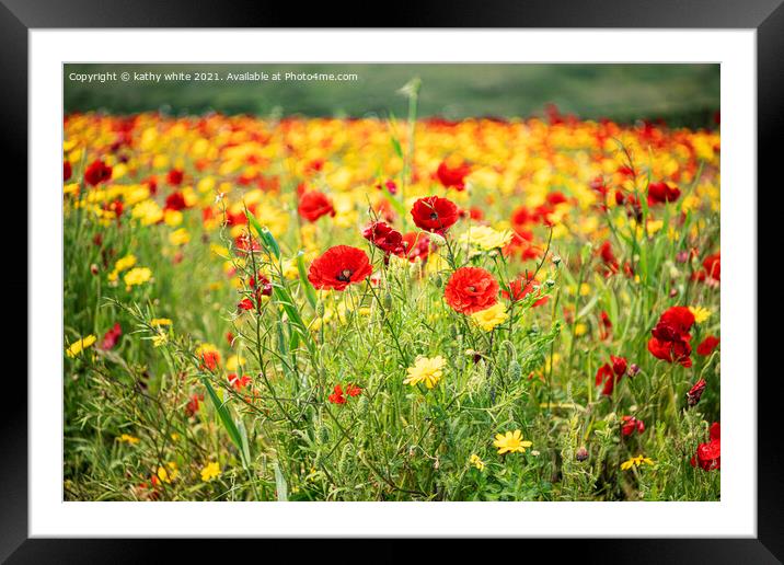 Poppies and Corn Marigolds Framed Mounted Print by kathy white