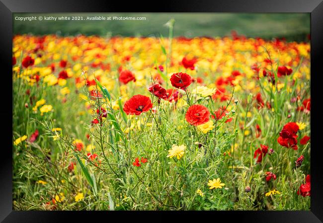 Poppies and Corn Marigolds Framed Print by kathy white