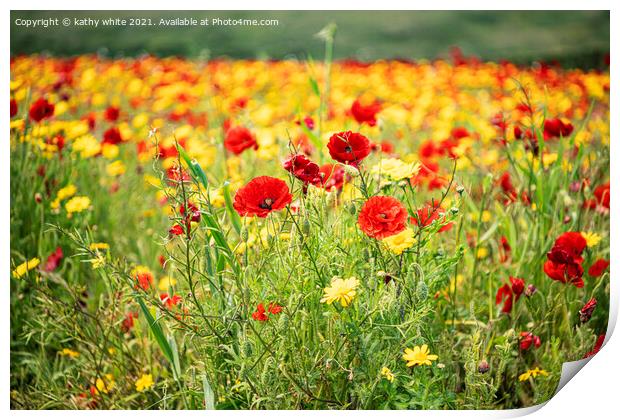 Poppies and Corn Marigolds Print by kathy white
