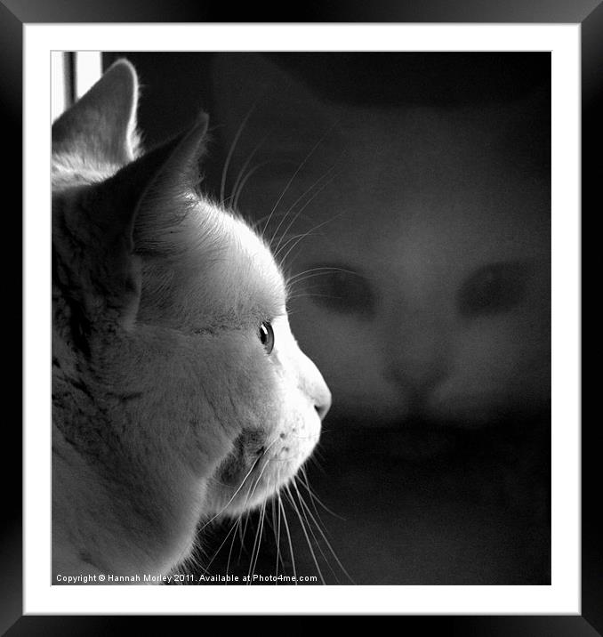 Ghost Cat Framed Mounted Print by Hannah Morley