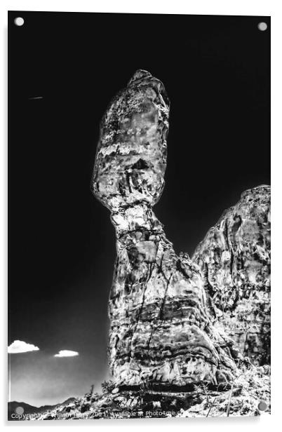 BLack White Balanced Rock Arches National Park Moab Utah  Acrylic by William Perry