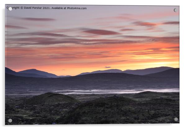 Colourful Dawn Light and Mist on Rannoch Moor, Scotland, UK Acrylic by David Forster
