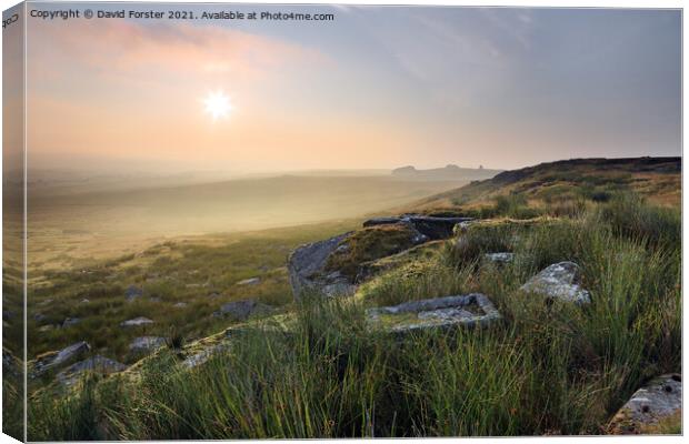 Beautiful Misty  Sunrise, North Pennines, Teesdale, UK Canvas Print by David Forster