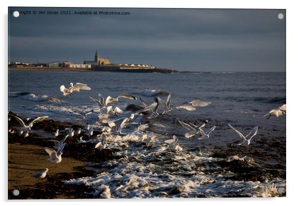 Seagulls feeding amongst the kelp Acrylic by Jim Jones
