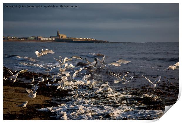 Seagulls feeding amongst the kelp Print by Jim Jones