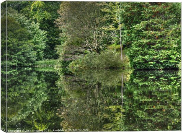 Highland Scotland Fairytale Lochan Reflection Deep In The Forest Canvas Print by OBT imaging
