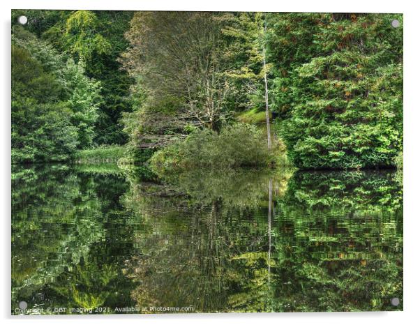 Highland Scotland Fairytale Lochan Reflection Deep In The Forest Acrylic by OBT imaging