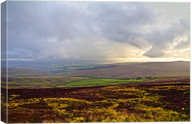 stormy heather Canvas Print by Northeast Images