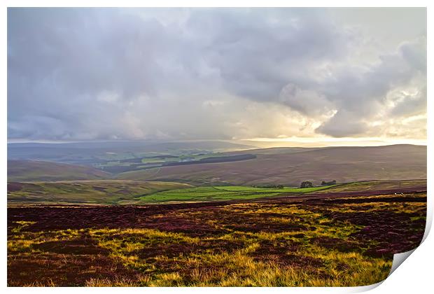 stormy heather Print by Northeast Images