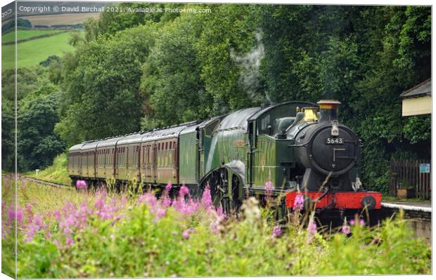 Double headed steam locomotives at Irwell Vale. Canvas Print by David Birchall