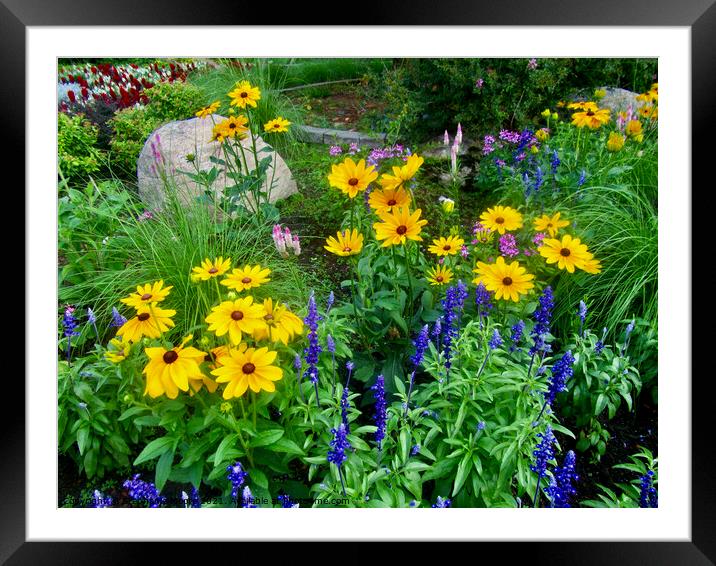 Flowers in our garden Framed Mounted Print by Stephanie Moore