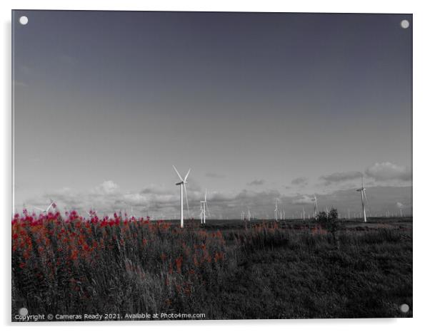 Beautiful B&W windfarm  Acrylic by Paddy 