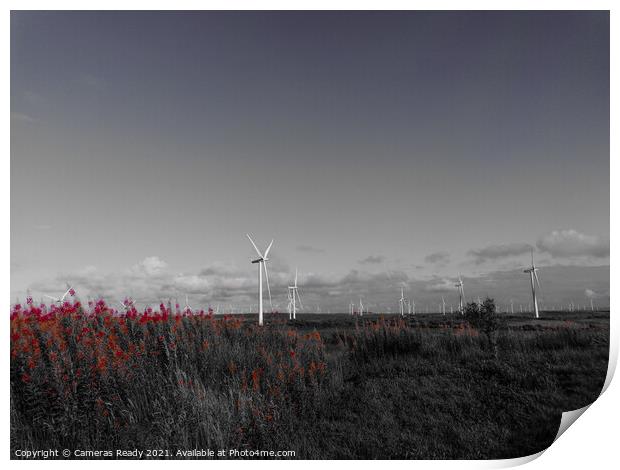 Beautiful B&W windfarm  Print by Paddy 