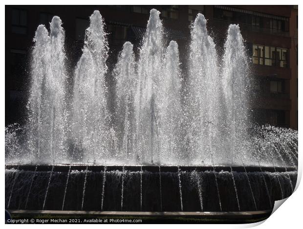 The Beauty of Leon's Sprinkler Fountain Print by Roger Mechan
