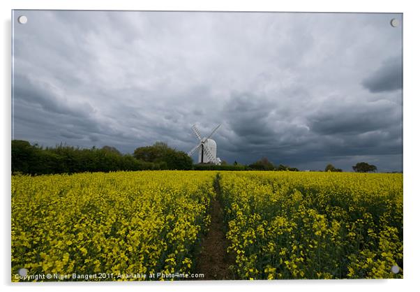 Aythorpe Roding Windmill Acrylic by Nigel Bangert