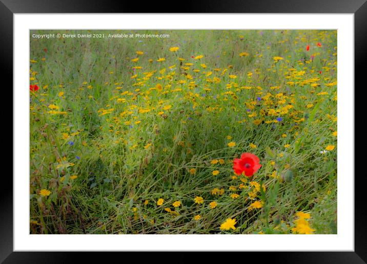 Dreamy Wildflowers #2 Framed Mounted Print by Derek Daniel