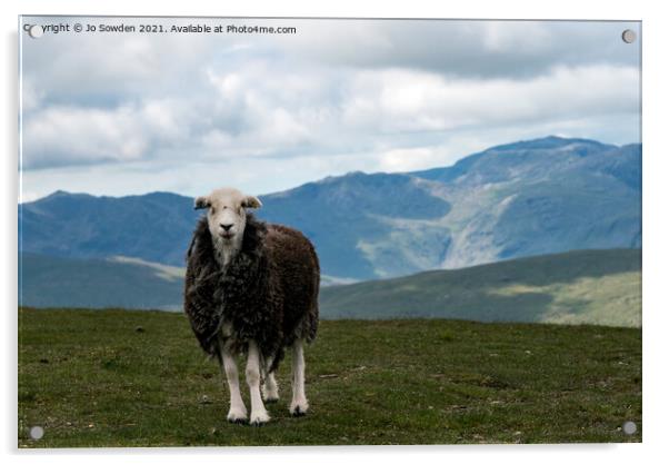 Herdwick Sheep , Helvellyn Acrylic by Jo Sowden