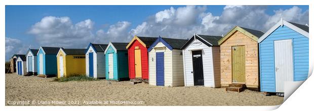 Southwold small Beach Huts Print by Diana Mower