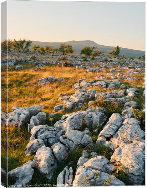 Southerscales Scars limestone pavement Canvas Print by Liam Grant
