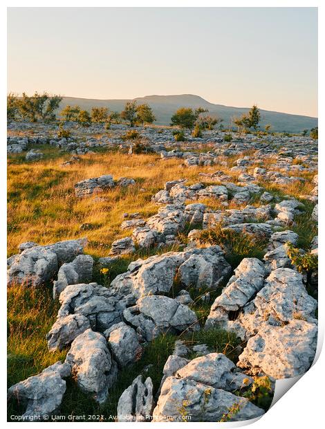 Southerscales Scars limestone pavement Print by Liam Grant