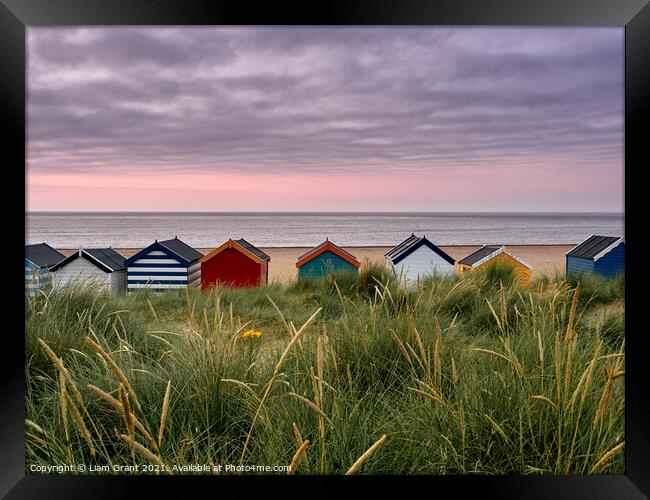 UK, Suffolk, Southwold, colourful beach huts in the dunes at sunrise Framed Print by Liam Grant