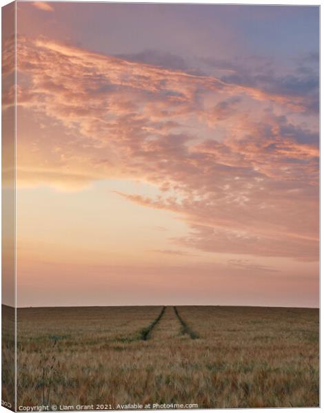 UK, Suffolk, Redgrave, tram lines through barley field with colourful sky at sunset Canvas Print by Liam Grant