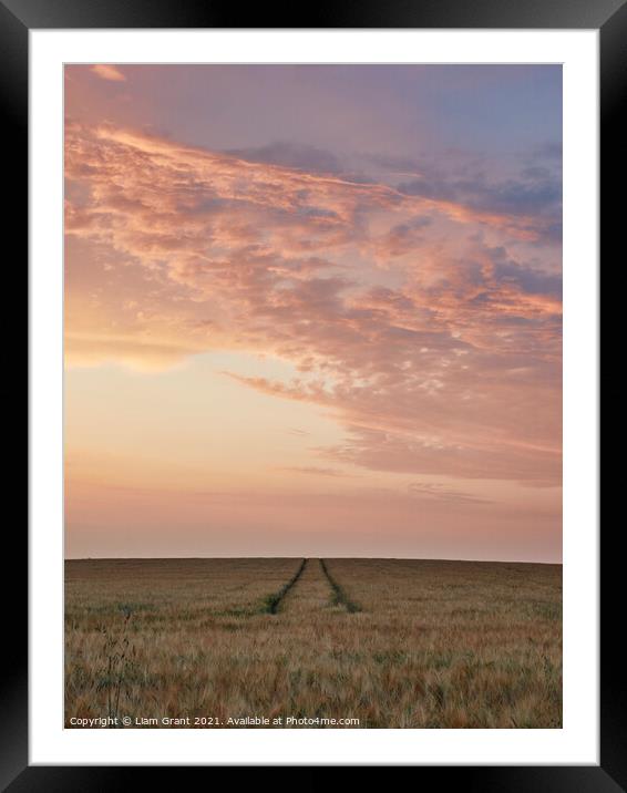 UK, Suffolk, Redgrave, tram lines through barley field with colourful sky at sunset Framed Mounted Print by Liam Grant