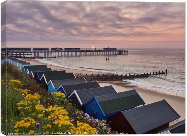 UK, Suffolk, Southwold, Wild flowers, beach huts and sunrise over the pier Canvas Print by Liam Grant