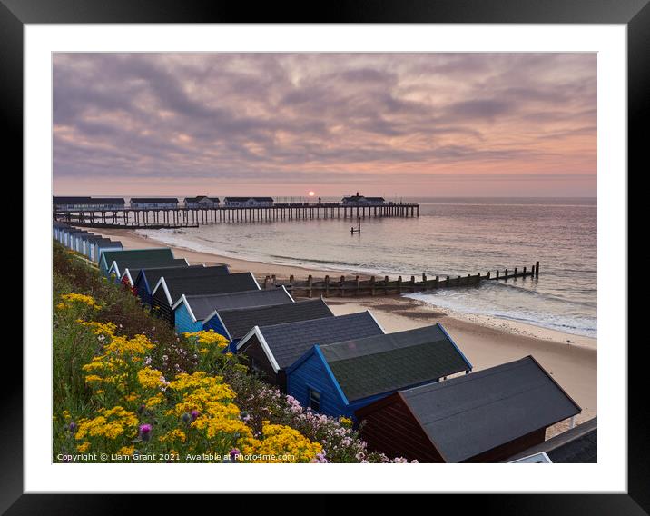 UK, Suffolk, Southwold, Wild flowers, beach huts and sunrise over the pier Framed Mounted Print by Liam Grant