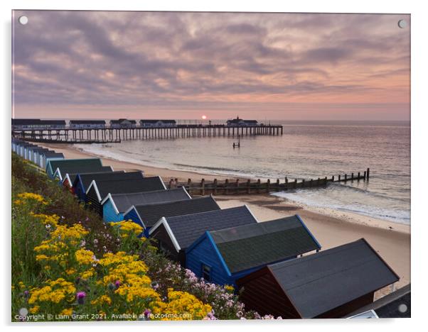 UK, Suffolk, Southwold, Wild flowers, beach huts and sunrise over the pier Acrylic by Liam Grant