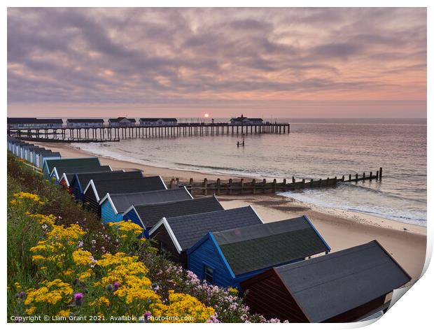 UK, Suffolk, Southwold, Wild flowers, beach huts and sunrise over the pier Print by Liam Grant
